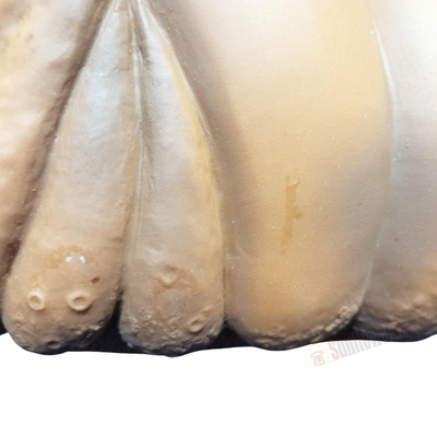 Tokyo Marui Mothra R/C 5CH Radio Control Figure 1984 Godzilla Toho Monster Toy usjpdeitfrcauk