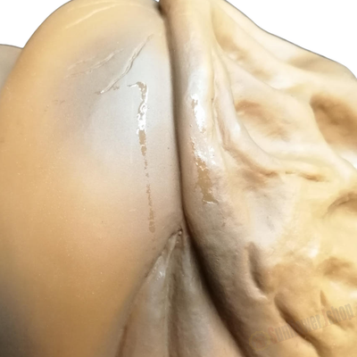 Tokyo Marui Mothra R/C 5CH Radio Control Figure 1984 Godzilla Toho Monster Toy usjpdeitfrcauk